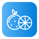 naranja icon