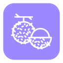 rambután icon