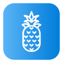 piña icon