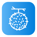 rambután icon