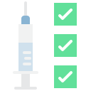 lista de verificación icon