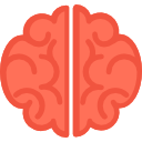 Brain 