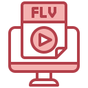 flv icon