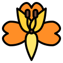 alstroemeria icon