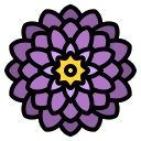 dalia icon