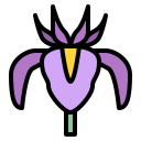 iris icon