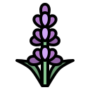 lavanda icon