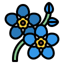 myosotis icon