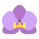 orquídea icon