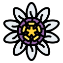 passiflora icon