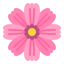 cosmos rosa icon