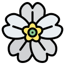 primavera icon