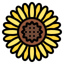 girasol icon