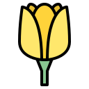 tulipán icon