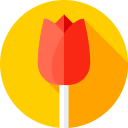 tulipán icon