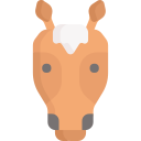 caballo icon