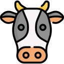 vaca