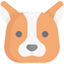 perro icon