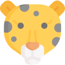 leopardo icon