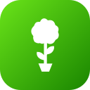 plantación icon