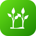 plantación icon