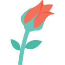 rosa icon