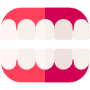 dentadura icon