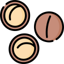 macadamia icon