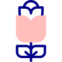 rosa icon