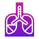 pulmones icon