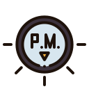 pm icon