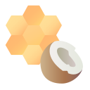 Coconut icon