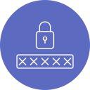 pin seguridad icon