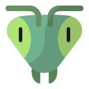 mantis