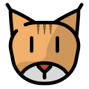 lince icon