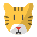 tigre icon