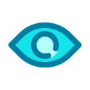 ojo icon