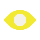 ojo icon