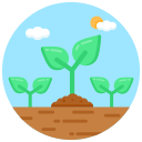 plantación icon