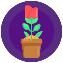 planta en maceta icon