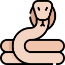 serpiente