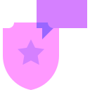 seguridad icon