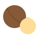 nuez de macadamia 