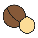 macadamia