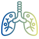 pulmones icon