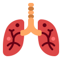 pulmones icon