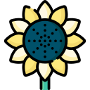 girasol icon