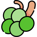 uvas icon