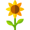 girasol icon