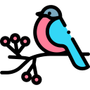 pájaro icon